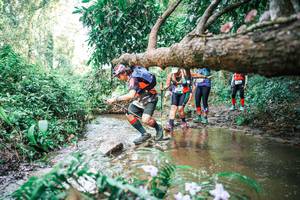 BIB: 
                            <button type="button" onclick="openModal(25517734)" class="btn btn-primary btn-sm float-right btn-popup" data-toggle="modal" data-target=".modal-high-quality">
                        <i class="fas fa-shopping-cart"></i> Add to Cart
                    </button>
                                            <button type="button" onclick="isThisMe(25517734, true)" class="btn btn-success btn-sm float-right btn-popup btn-isme hidden" data-toggle="tooltip" data-placement="bottom" title="นี่คือรูปของคุณใช่ไหม คลิกที่นี่เพื่อเอาเข้าอัลบั้ม">
                        <i class="fas fa-plus"></i> Add to album
                    </button>
                    <button type="button" onclick="isThisMe(25517734, false)" class="btn btn-warning btn-sm float-right btn-popup btn-isnotme hidden">
                        <i class="fas fa-ban"></i> Remove from album
                    </button>